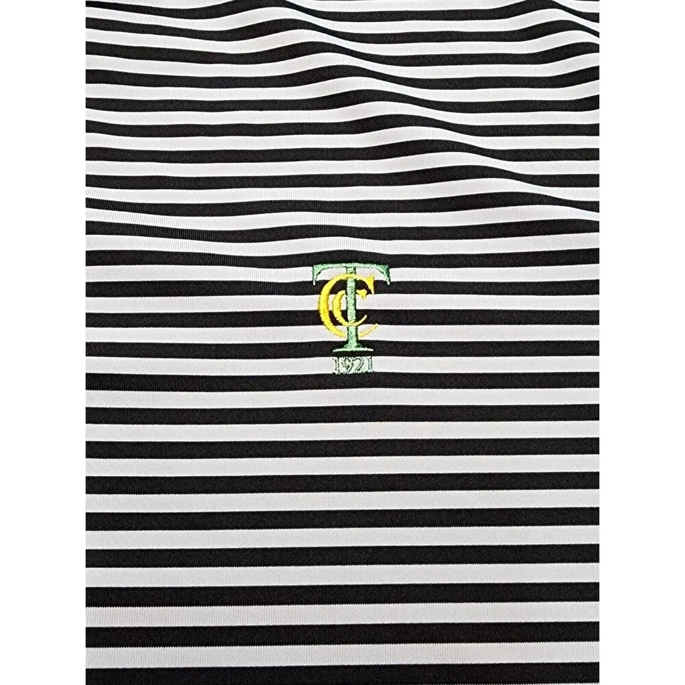 Fennec Men's Golf Polo Shirt Grey with Black with Stripes Size XL